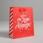 Пакет подарочный Подарок от Деда Мороза, красный #нг