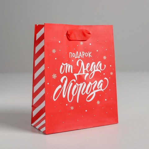 Пакет подарочный Подарок от Деда Мороза, красный #нг