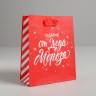Пакет подарочный Подарок от Деда Мороза, красный #нг