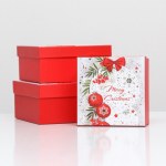 Набор коробок Merry Christmas, красный #нг