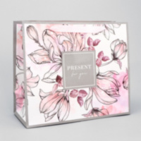 Пакет ламинированный горизонтальный «Present for you»