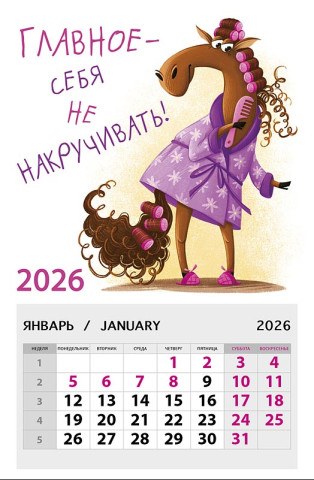 Календарь на магните Лошадка, главное - себя не накручивать