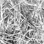 Наполнитель для коробок Металл Серебро / 50 г /