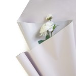 Пленка Корея "Пудра/Теплый серый" на втулке, 50мкм