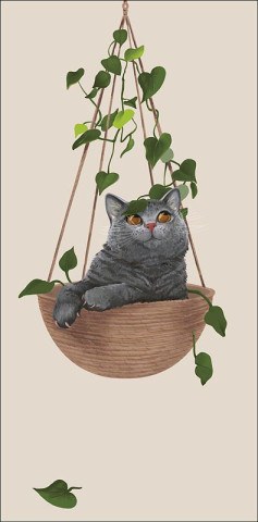 Конверт для денег  Кот, "Поменьше париться…"