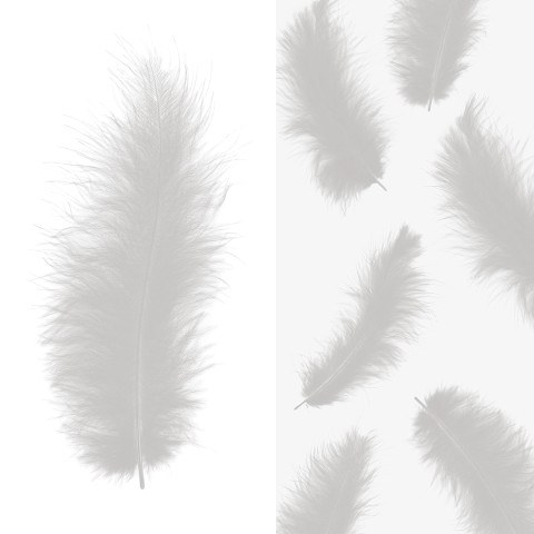 Перья Премиум, Белый