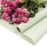 Упаковочная пленка 65мкр Однотонная, Мятный, Матовый