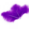 Перья Фиолетовый
