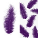 Перья Премиум, Фиолетовый